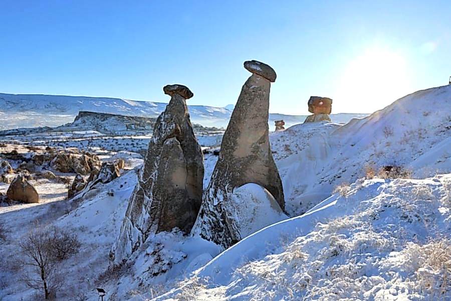 GÜNÜBİRLİK KAPADOKYA TURU