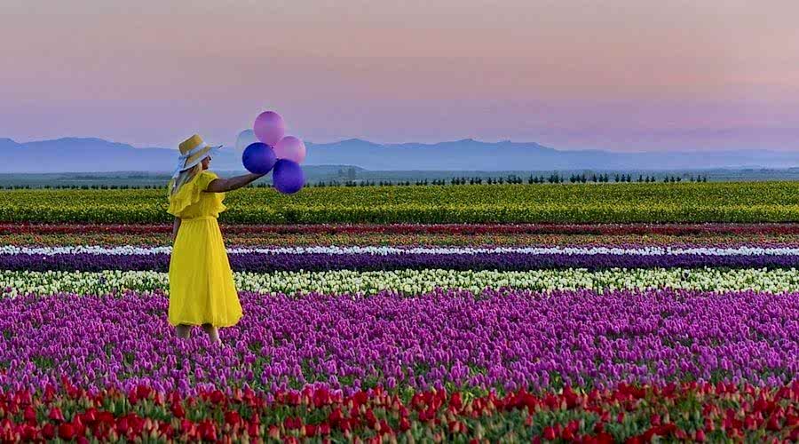 KONYA LALE BAHÇELERİ TURU 
