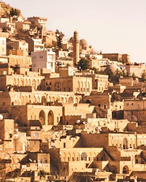 KURBAN BAYRAMI ÖZEL DOLU DOLU GAP TURU 