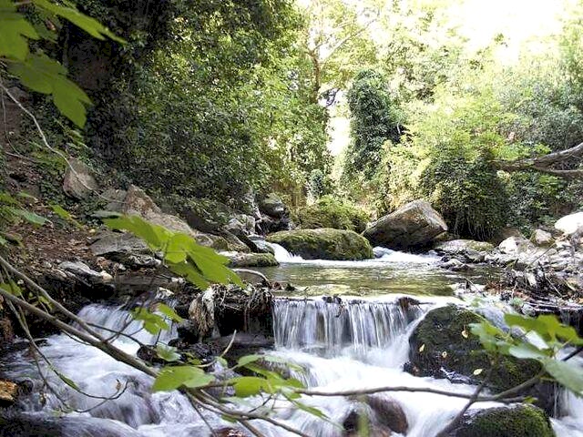 KURBAN BAYRAMI ÖZEL BÜYÜK MARMARA TURU 